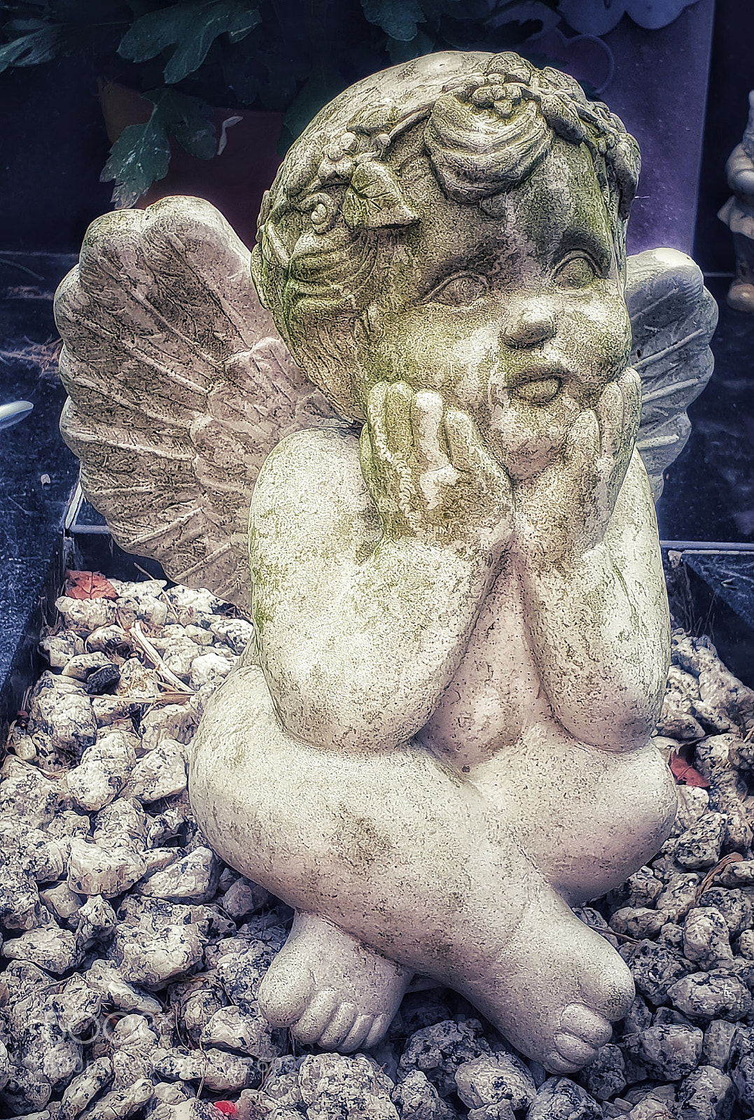 Samsung Galaxy S9 sample photo. Angelic photography