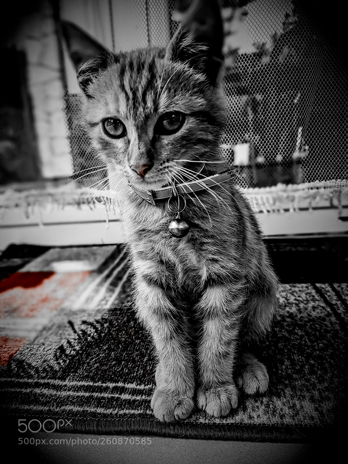 Samsung Galaxy S7 Edge sample photo. Untitled photography
