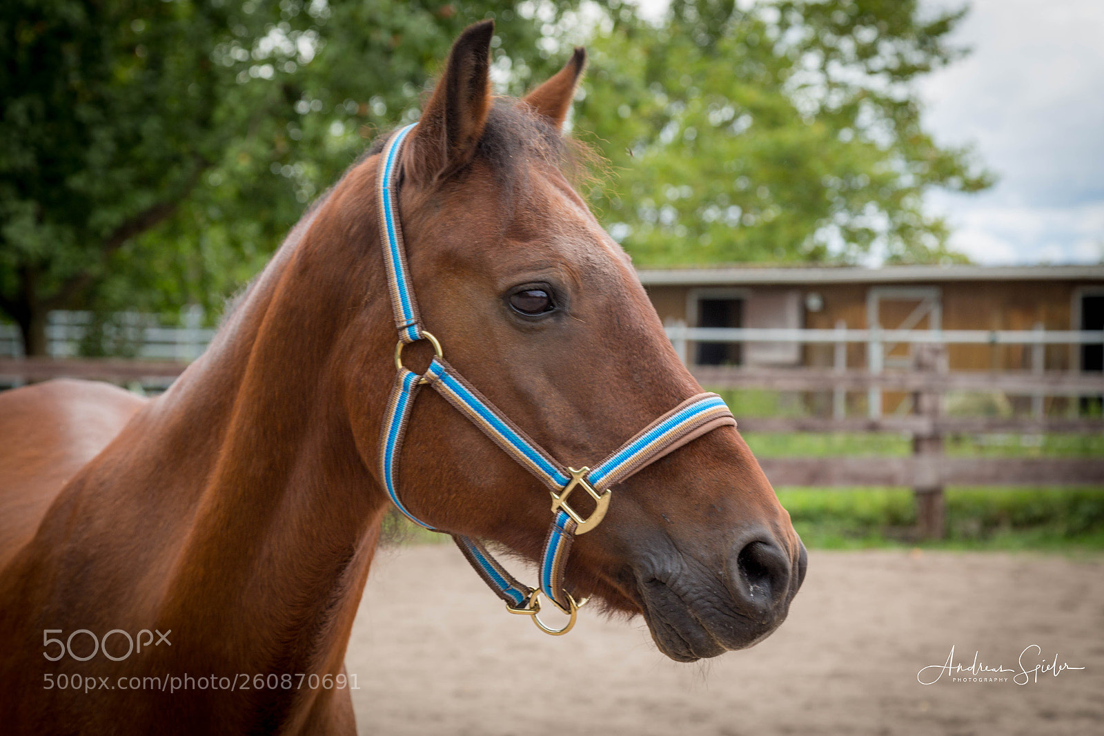 Canon EOS 6D sample photo. Img photography