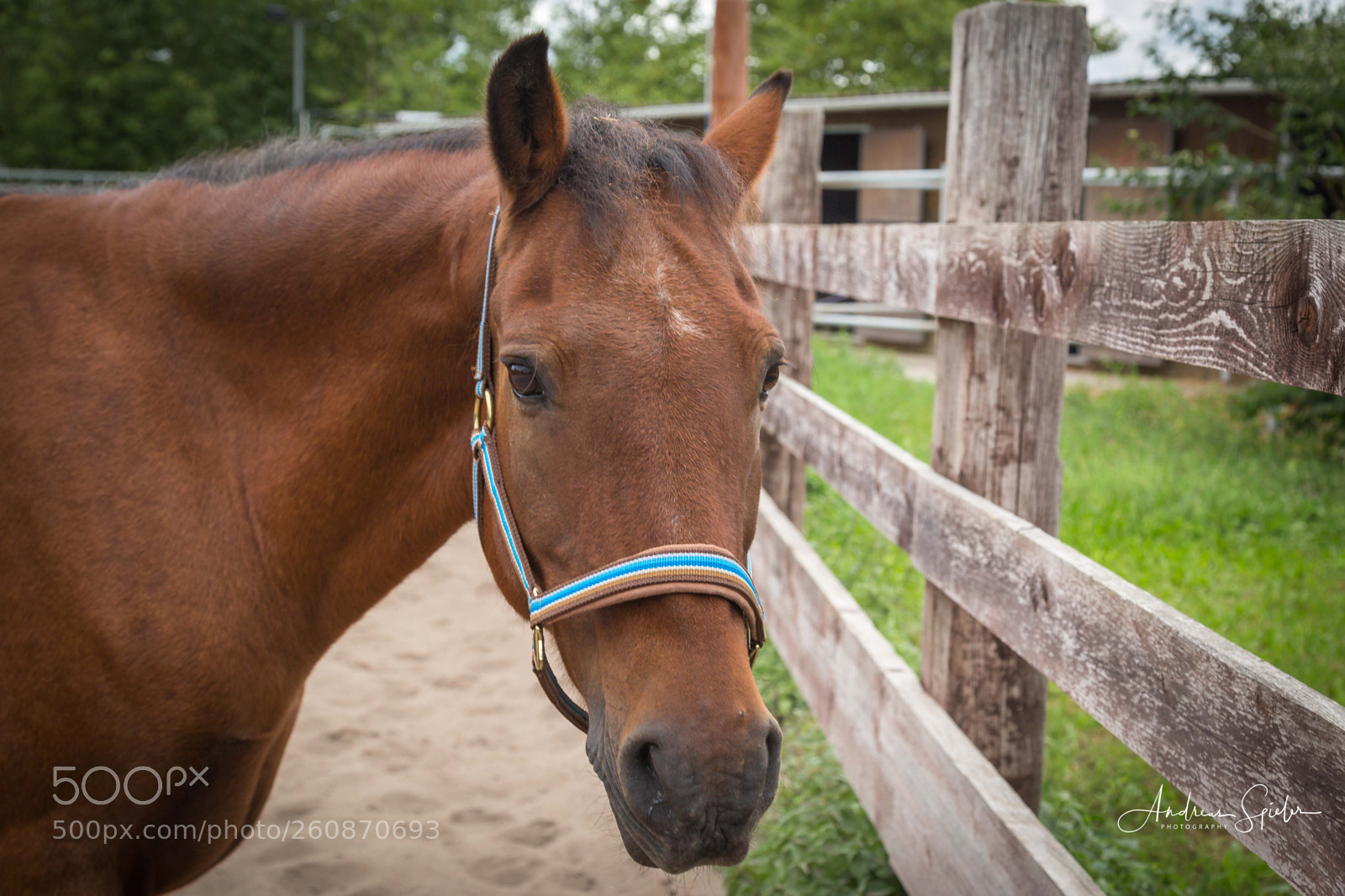 Canon EOS 6D sample photo. Img photography