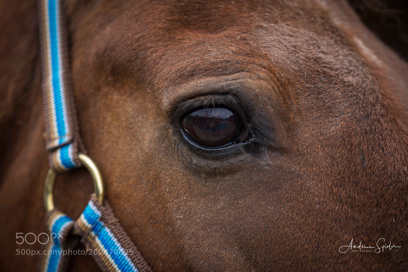 Canon EOS 6D sample photo. Img photography