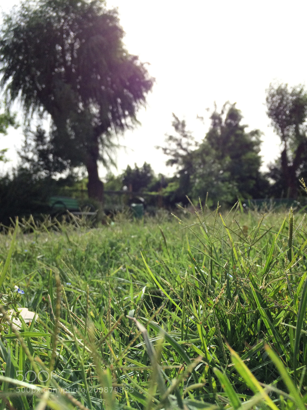Apple iPhone 5s sample photo. Untitled photography