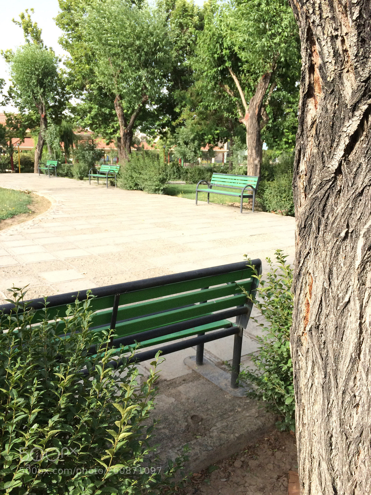 Apple iPhone 5s sample photo. Untitled photography