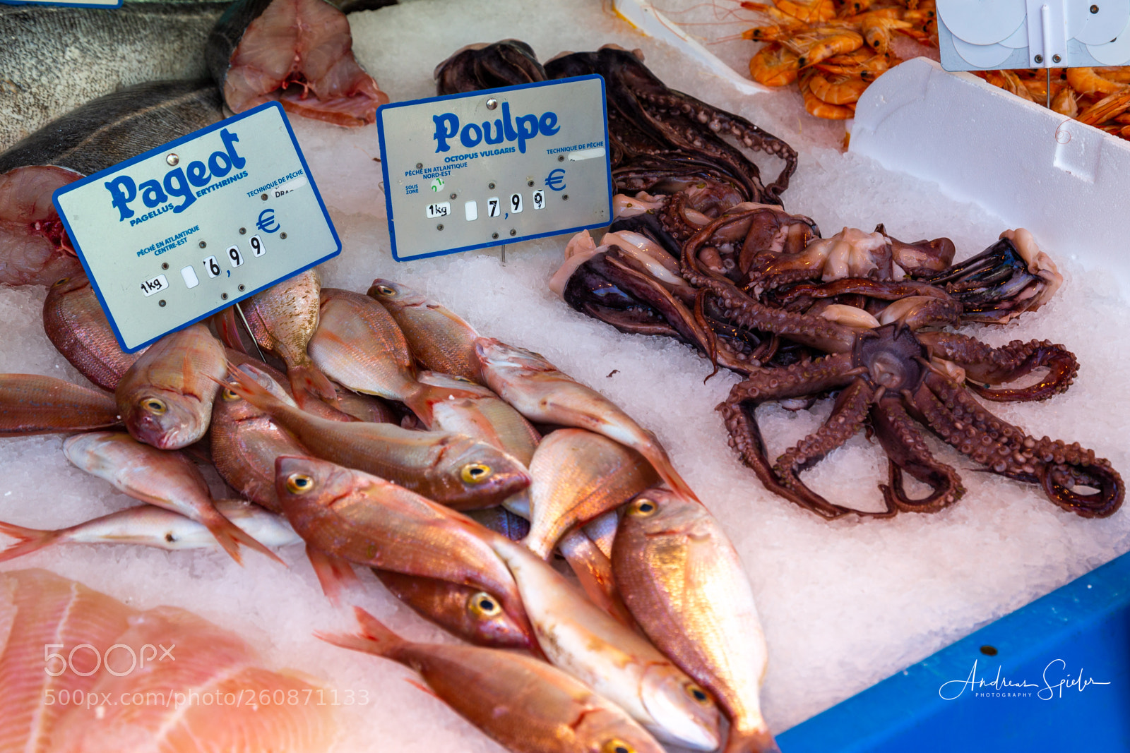 Canon EOS 6D sample photo. Img photography