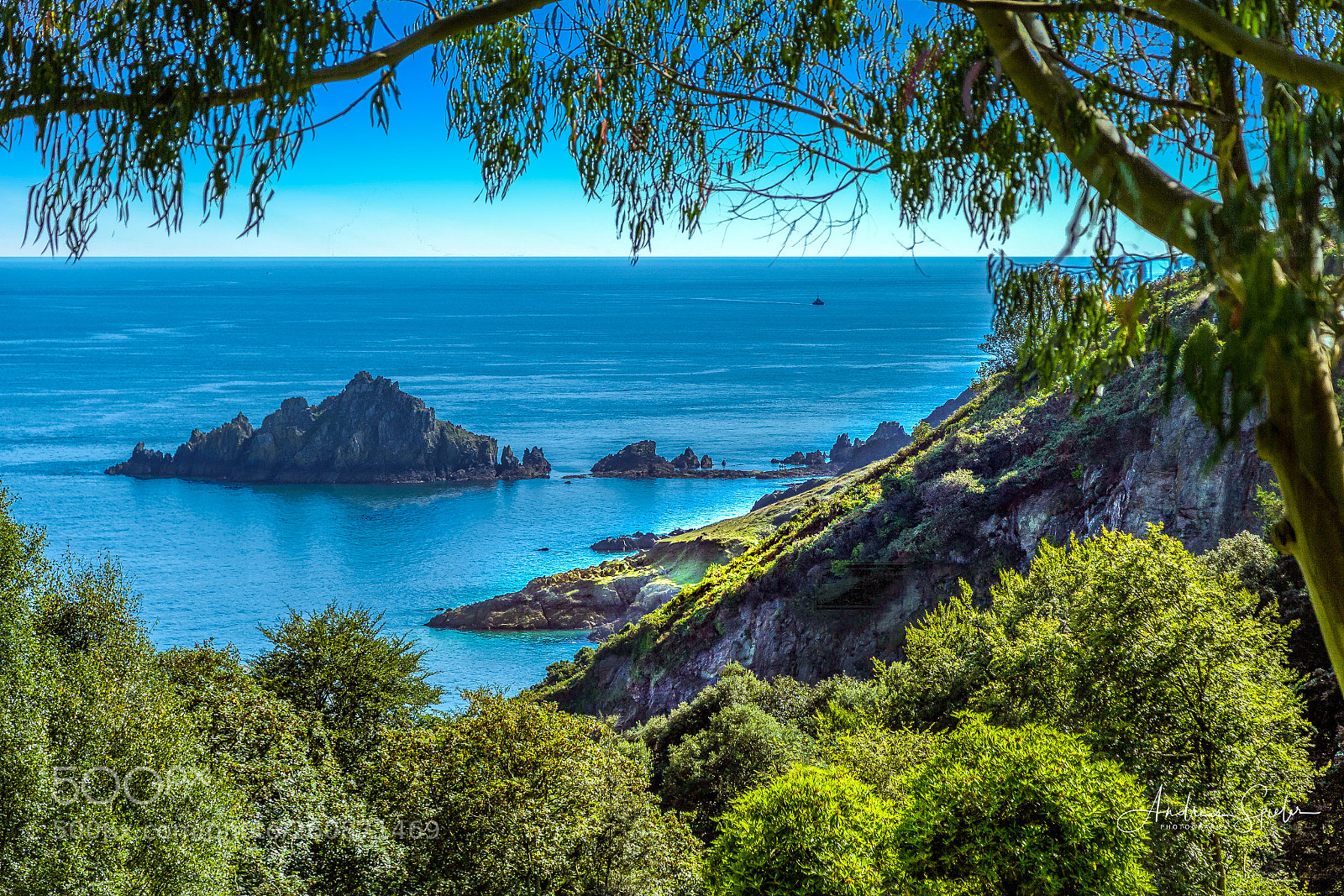 Canon EOS 6D sample photo. Coleton fishacre - d photography