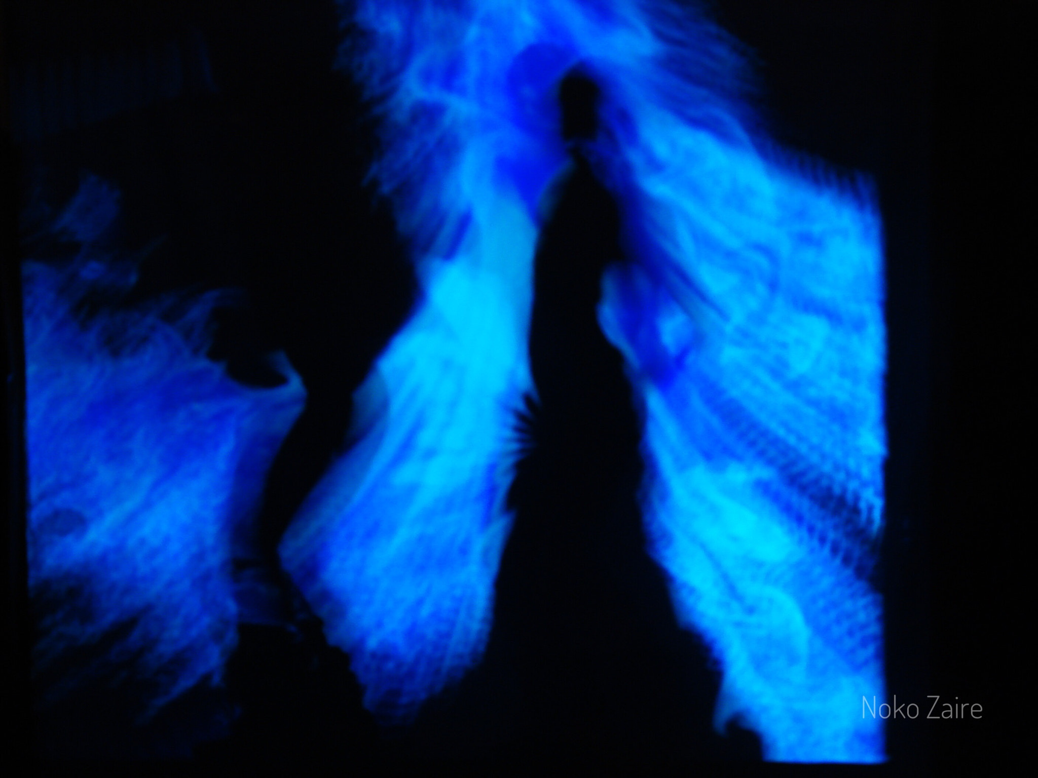 Sony DSC-W30 sample photo. Dancing in the shadows  photography