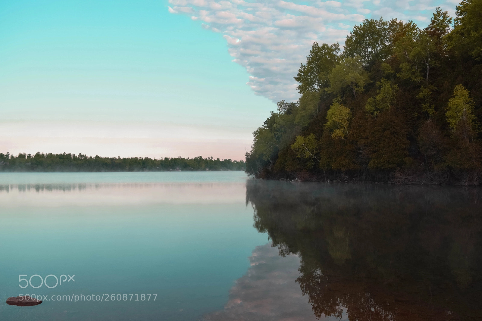 Nikon D5300 sample photo. Misty morning photography
