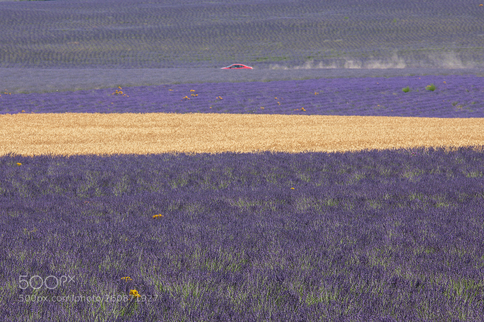 Canon EOS 5D Mark II sample photo. Untitled photography