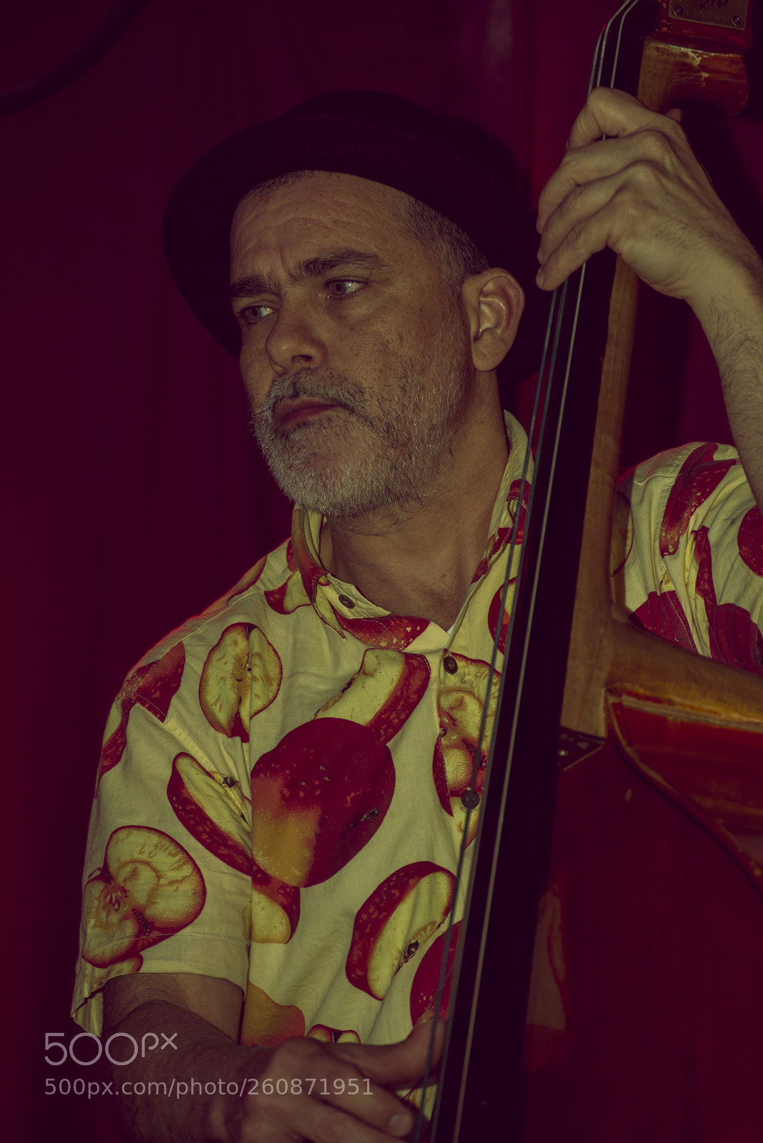 Nikon D610 sample photo. Concertos photography