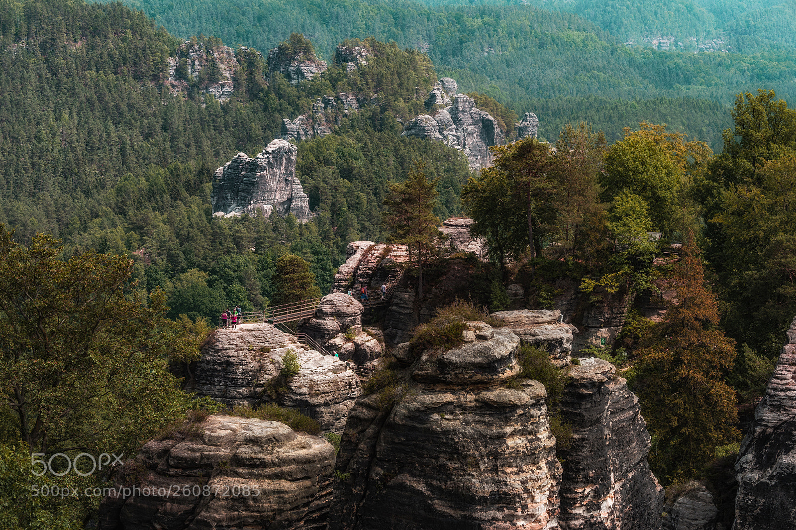 Nikon D4 sample photo. Bastei path photography