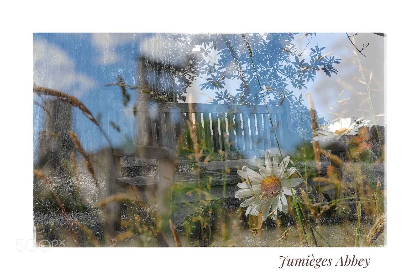 Fujifilm X-T1 sample photo. Jumièges abbey / normandy photography