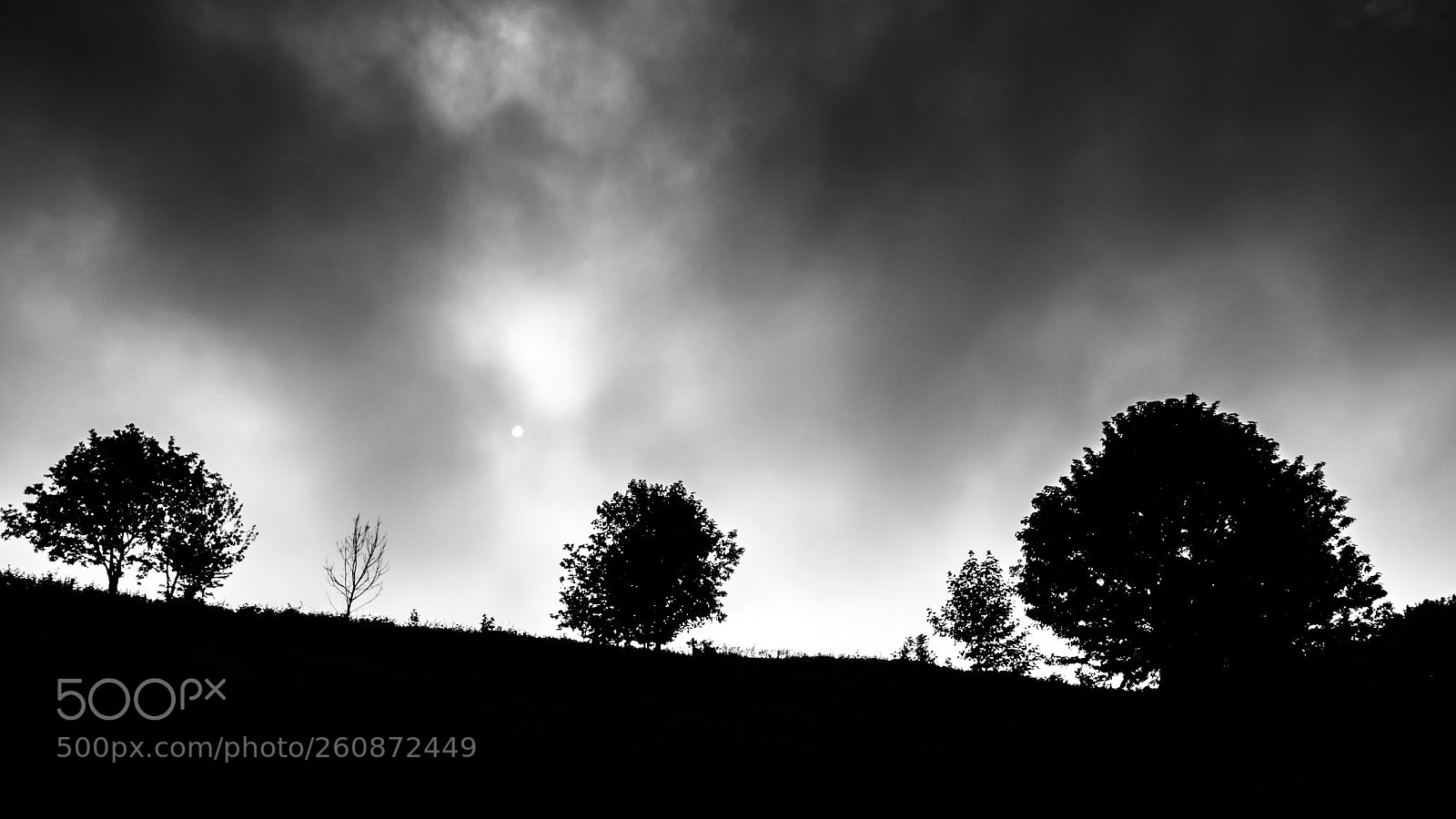 Panasonic Lumix DMC-GX85 (Lumix DMC-GX80 / Lumix DMC-GX7 Mark II) sample photo. Three trees in black photography