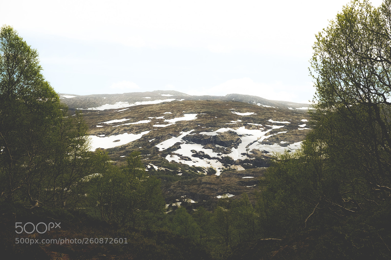 Fujifilm X-T2 sample photo. Ådneram photography