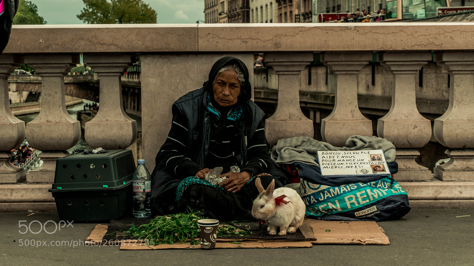 Sony a6300 sample photo. Old lady and rabbit photography