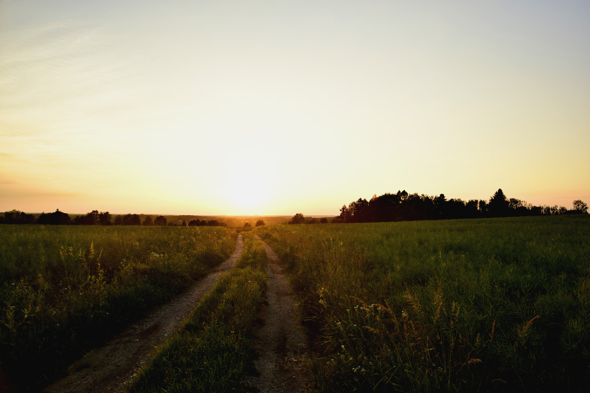 Nikon D3300 sample photo. Ein weg photography