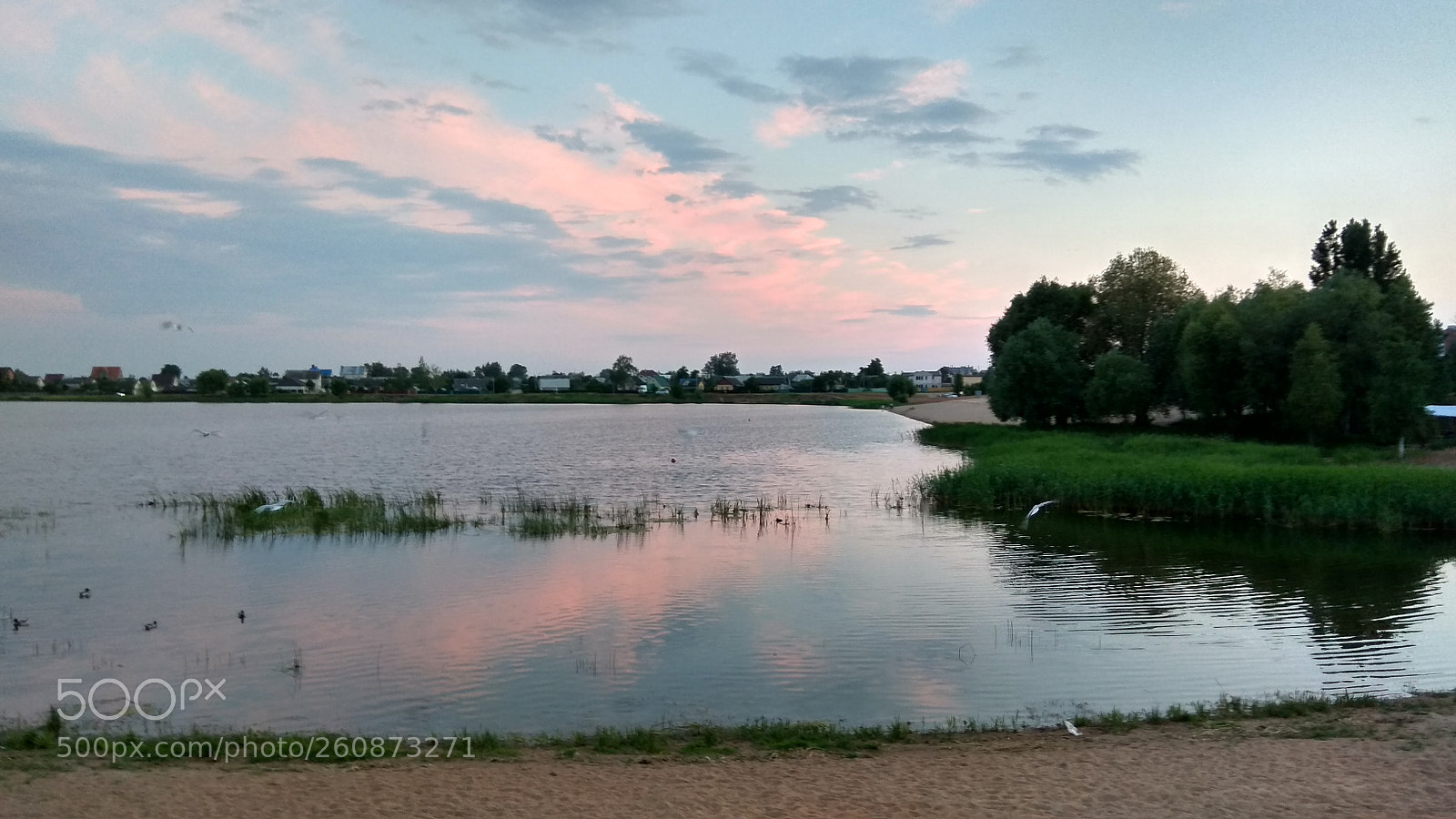 Xiaomi Redmi Note 4 sample photo. Untitled photography