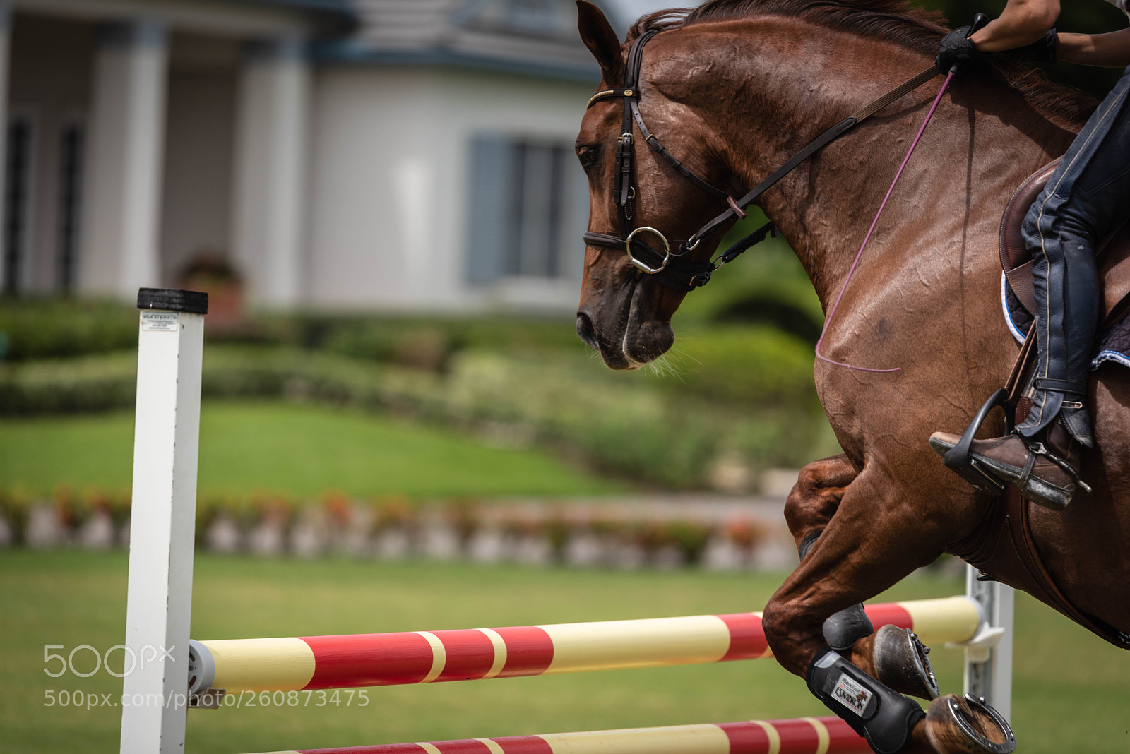 Nikon D750 sample photo. Excalibur photography