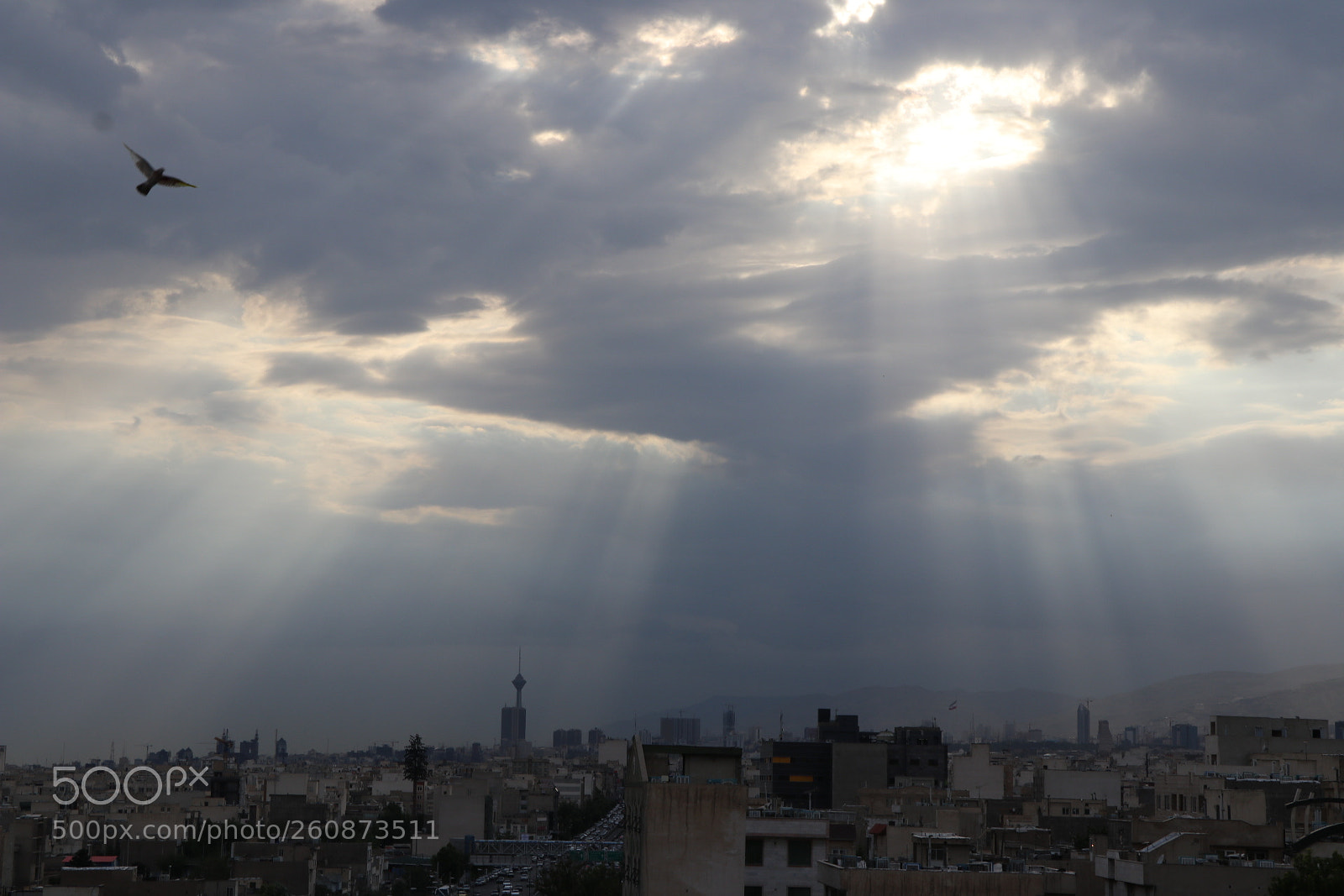 Canon EOS 80D sample photo. Untitled photography