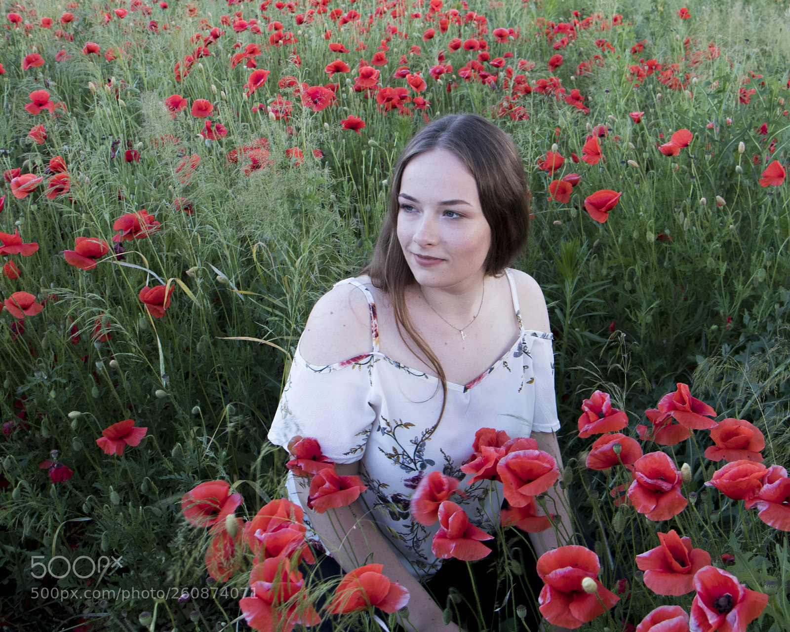 Canon EOS 80D sample photo. Untitled photography