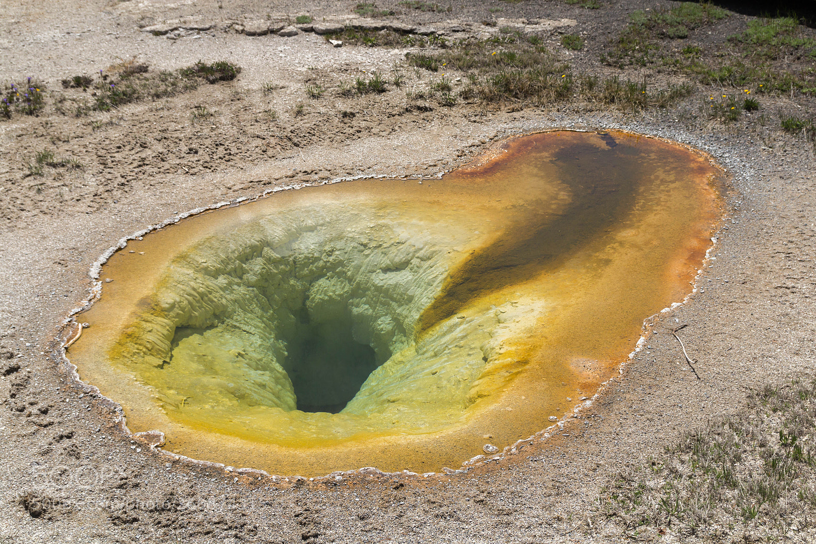 Canon EOS 600D (Rebel EOS T3i / EOS Kiss X5) sample photo. Img photography