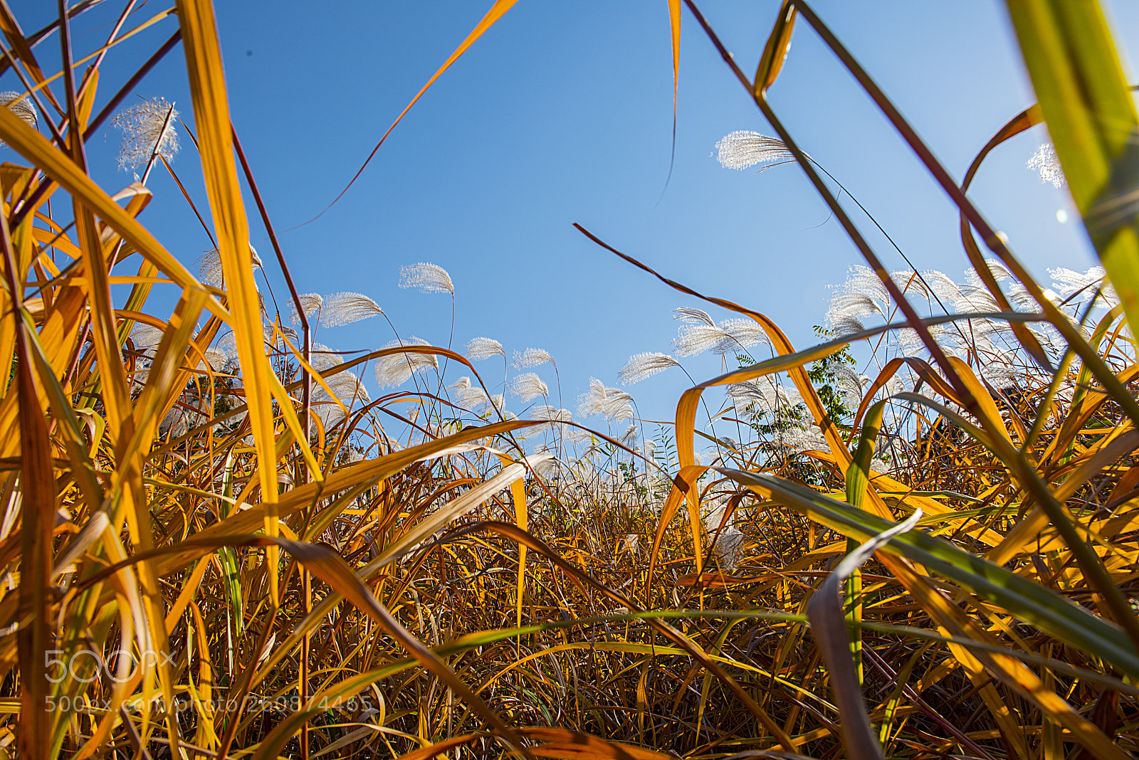 Nikon D810 sample photo. Untitled photography