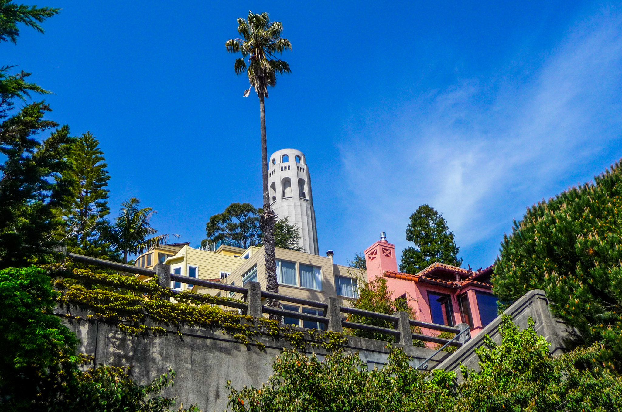 Panasonic DMC-TZ15 sample photo. Coit tower photography