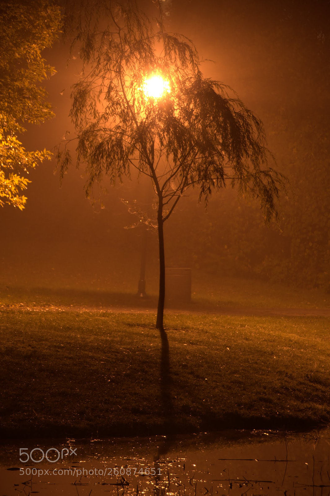 Nikon D90 sample photo. Night fog photography