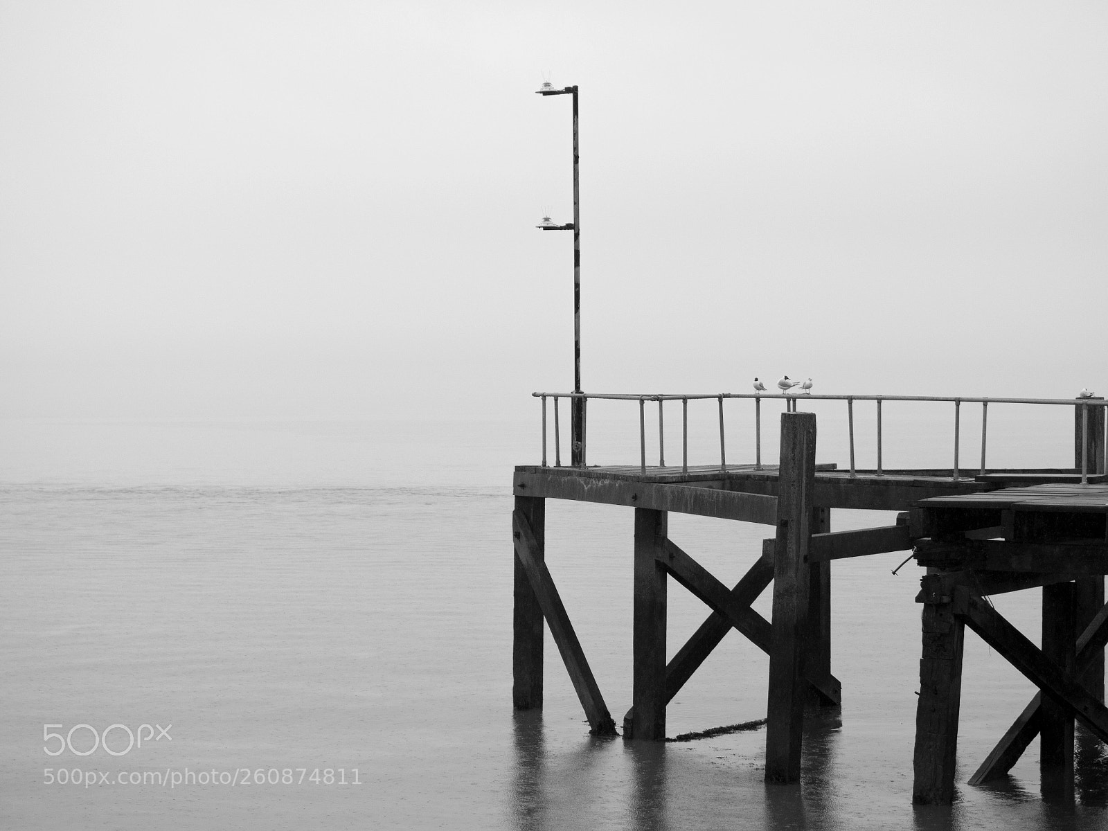 Olympus OM-D E-M10 II sample photo. Stillness photography