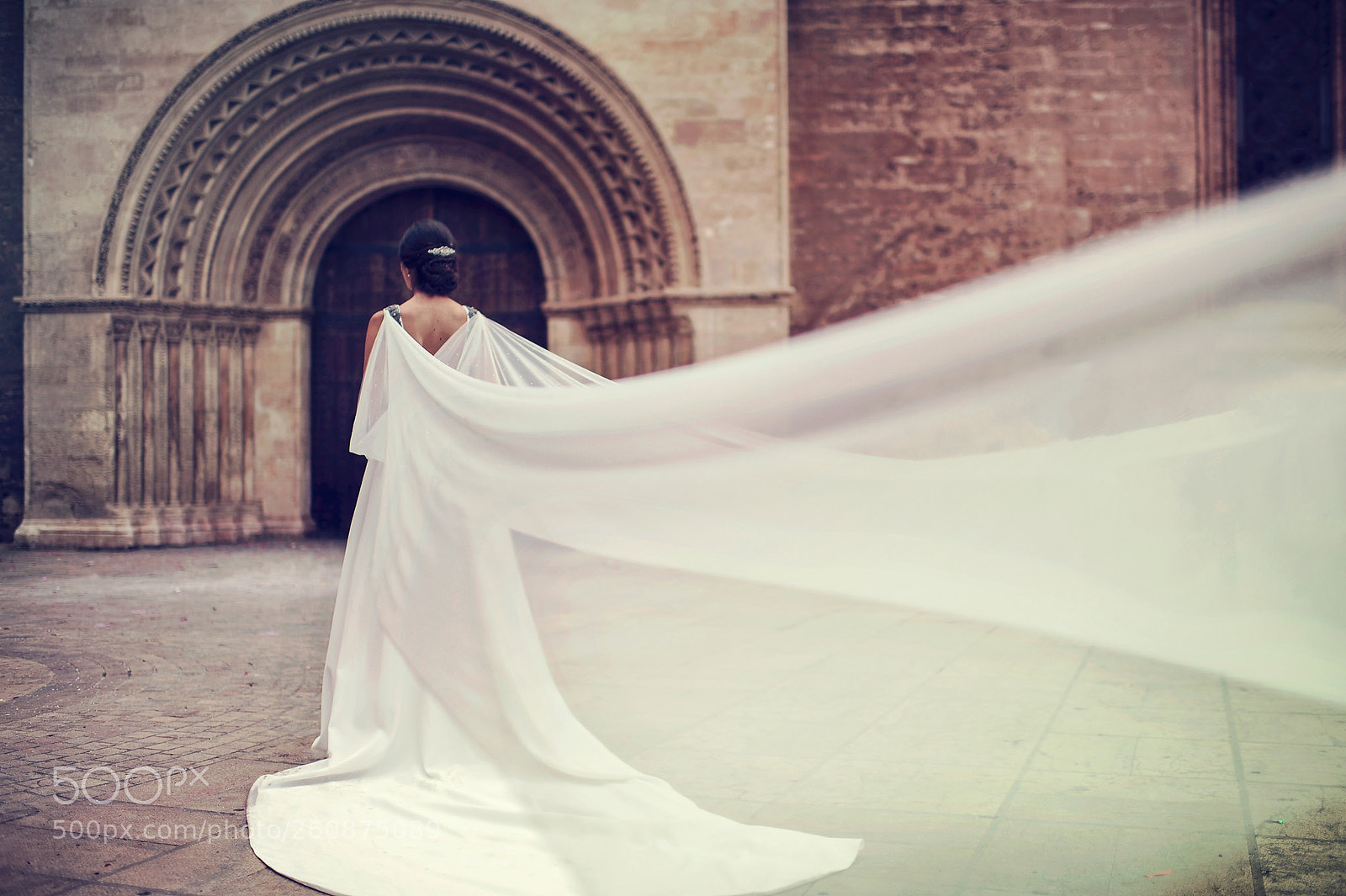 Nikon D3 sample photo. Veil photography