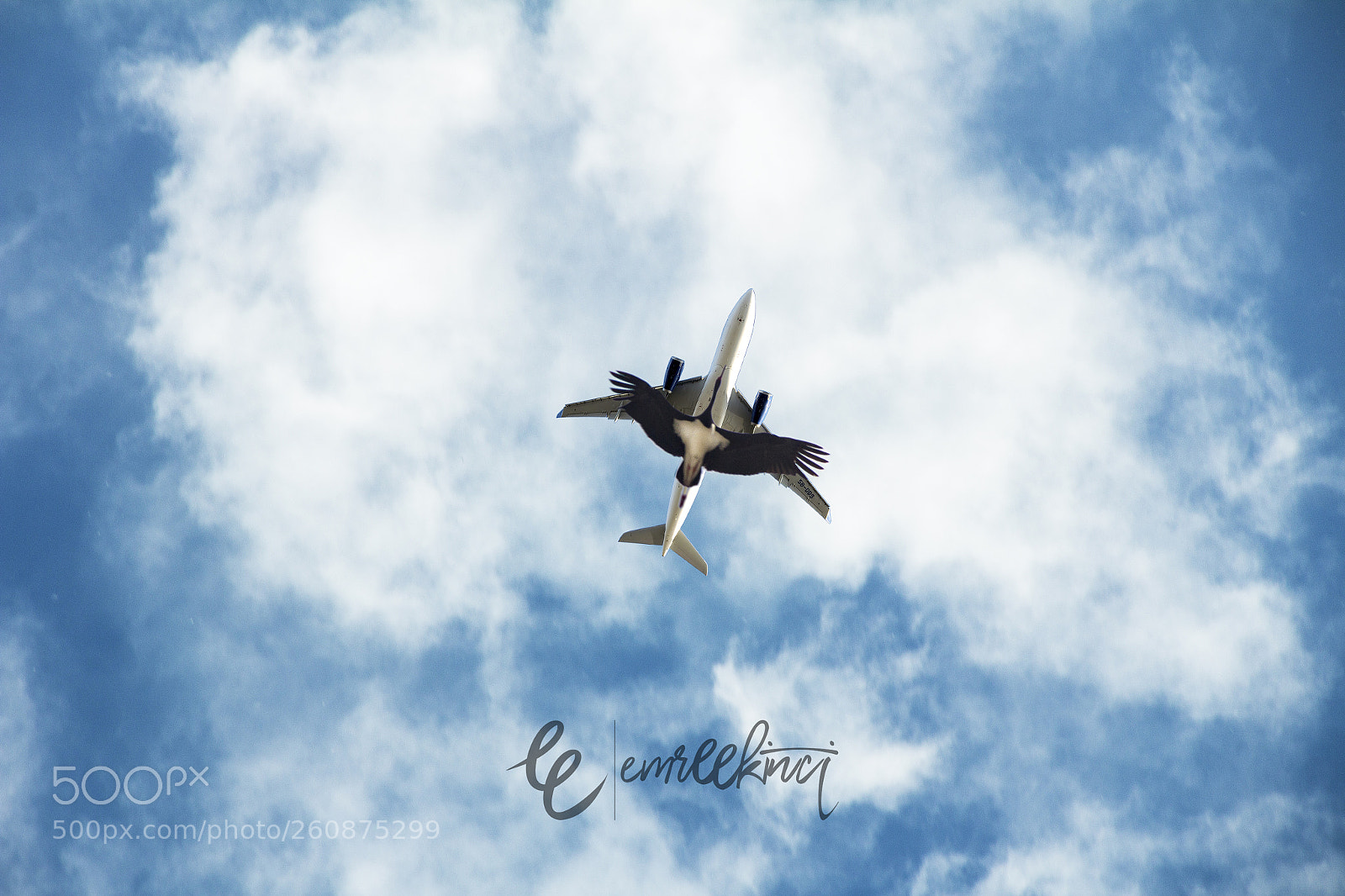 Canon EOS 60D sample photo. Blue sky photography