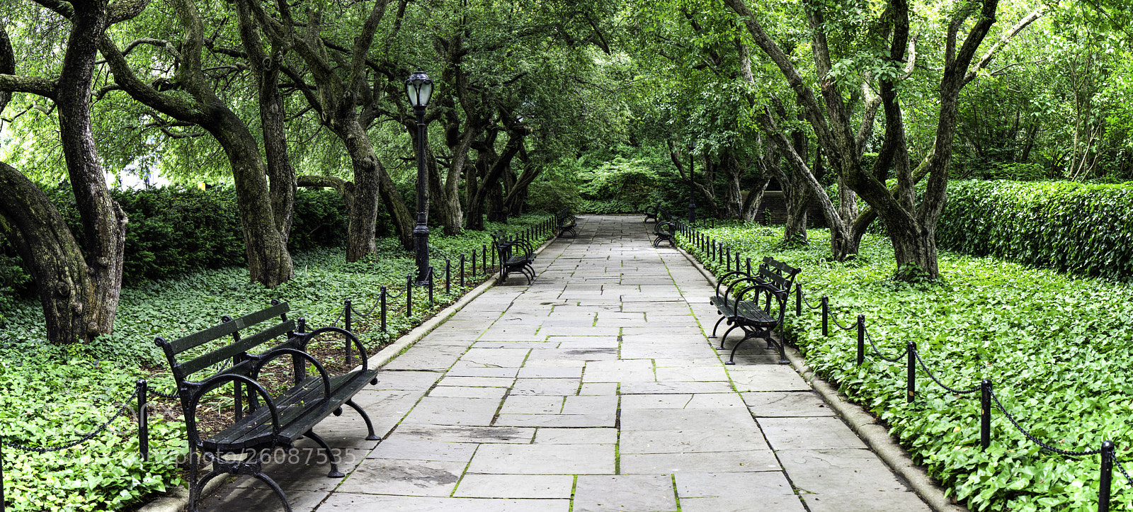 Sony a7R II sample photo. Conservancy walk photography