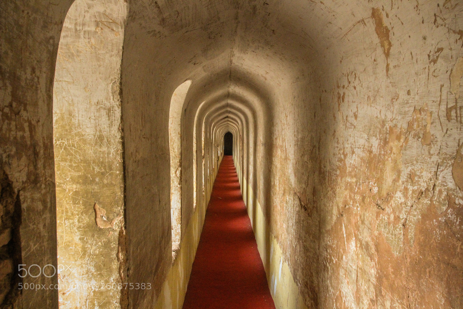Canon EOS 600D (Rebel EOS T3i / EOS Kiss X5) sample photo. The carpet ! photography