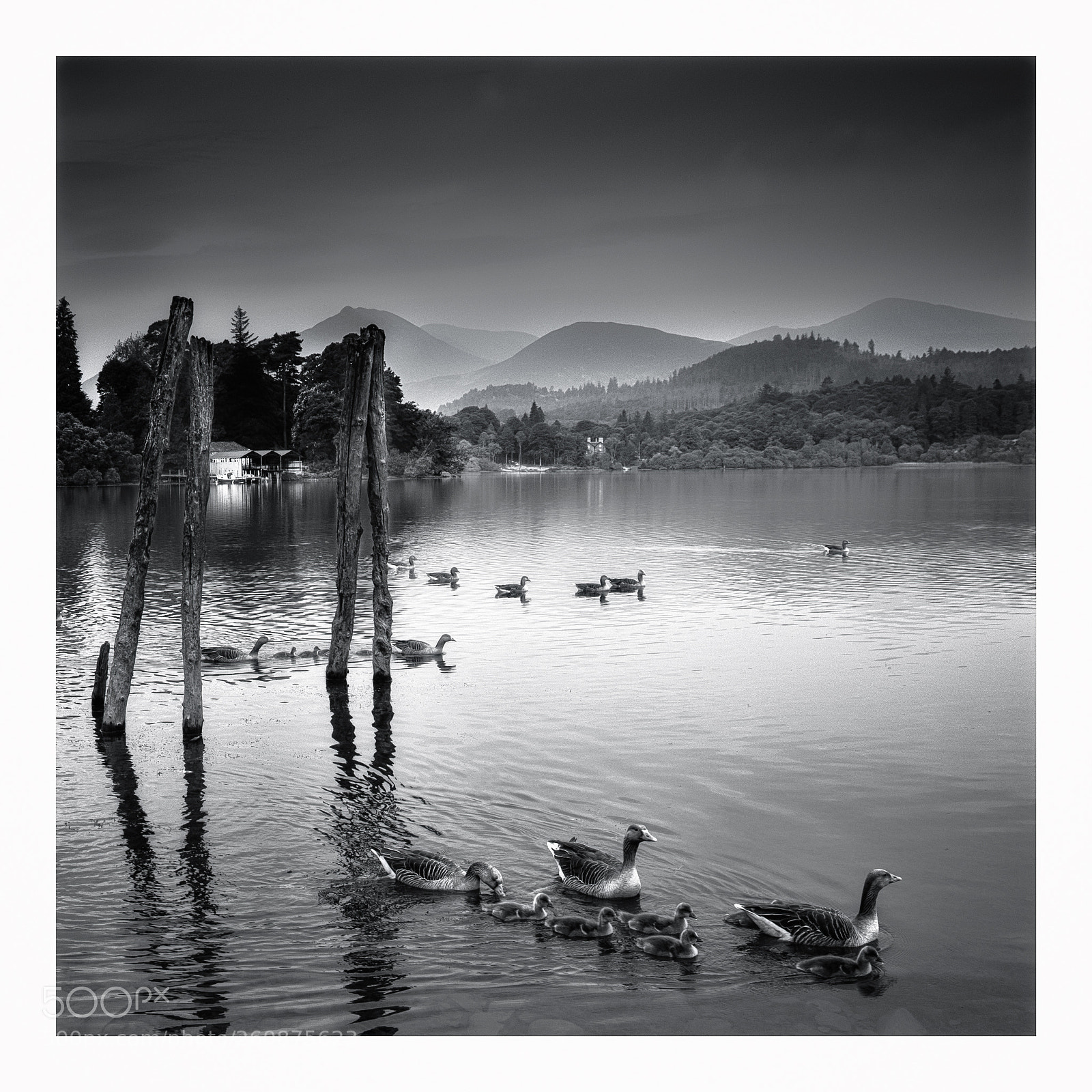 Canon EOS 6D sample photo. Derwent water photography