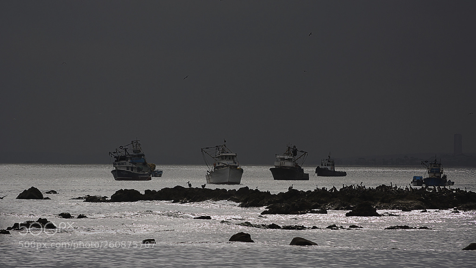 Nikon D7100 sample photo. The shore photography