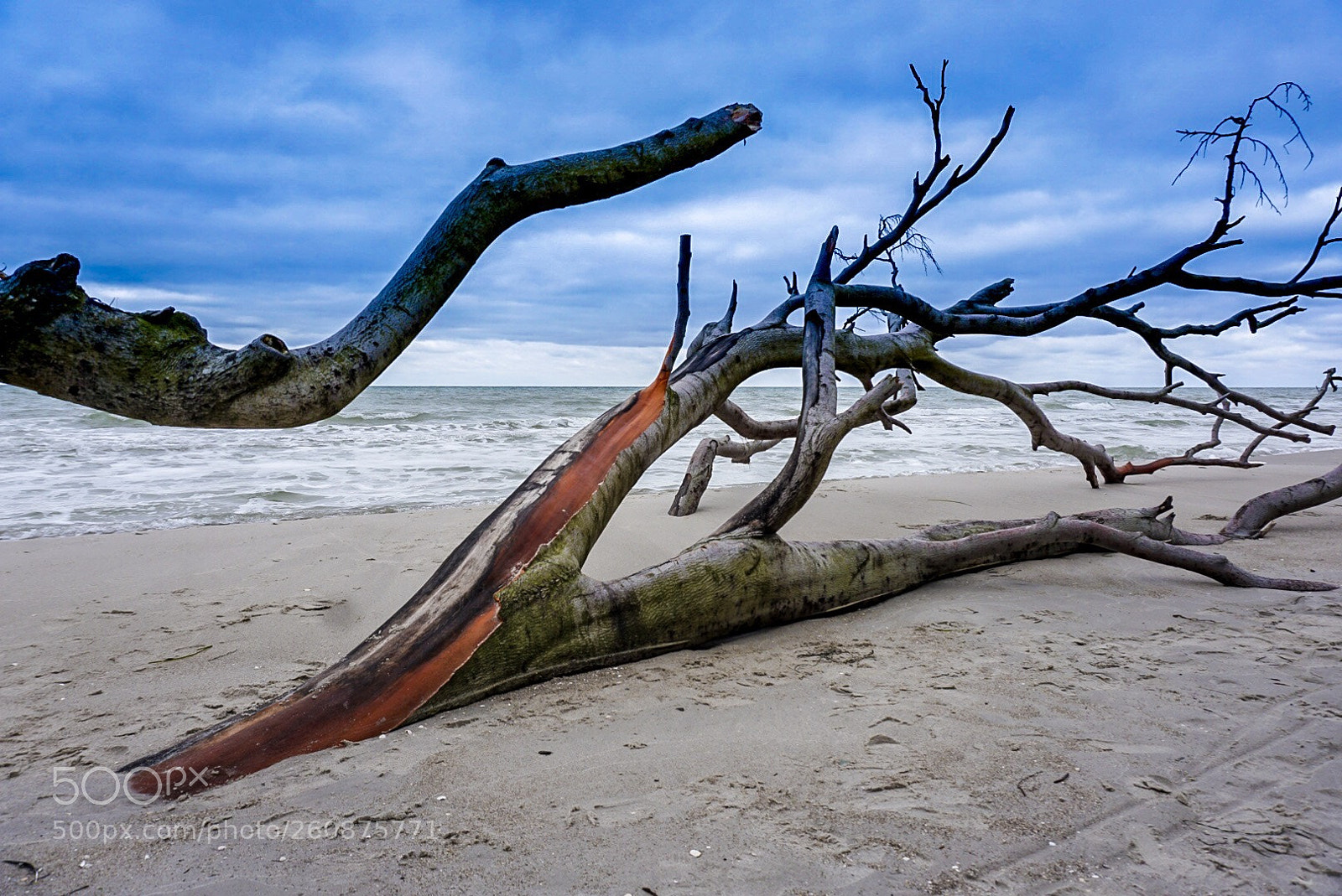 Sony a6000 sample photo. Karibik-feeling an der ostsee photography
