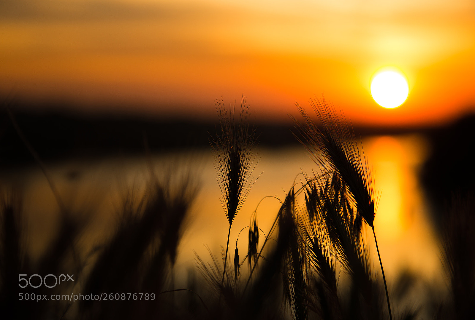 Canon EOS 6D sample photo. Sunset photography