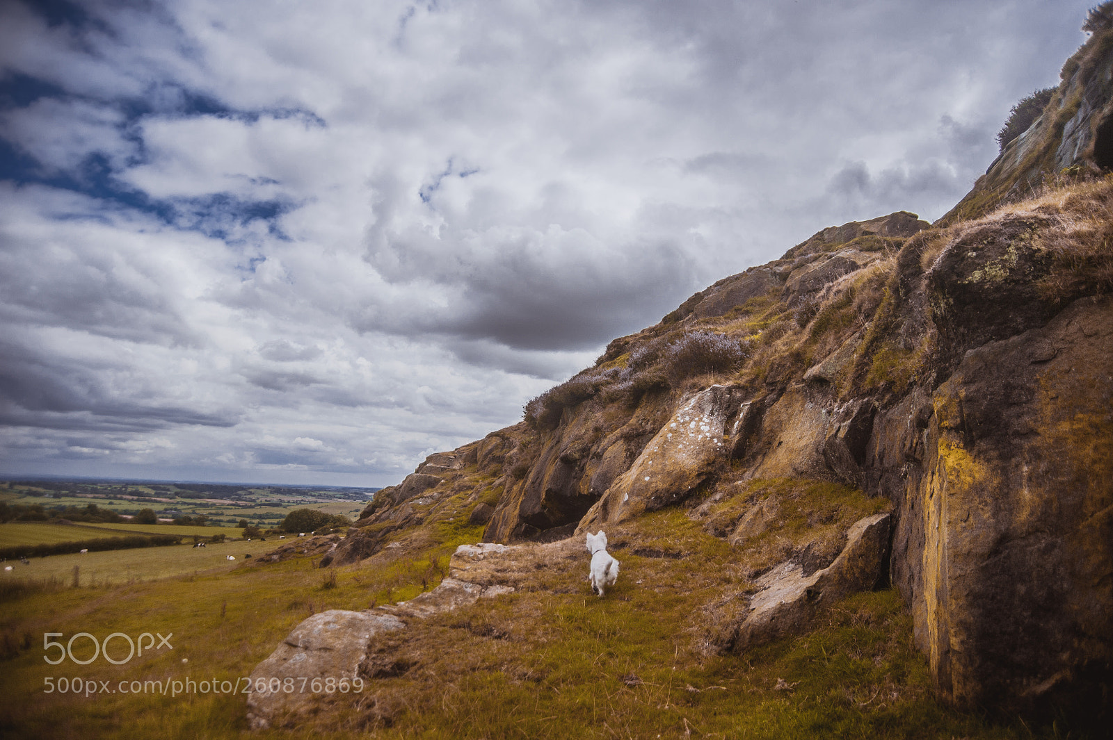 Nikon D700 sample photo. Cassie and the cliff photography