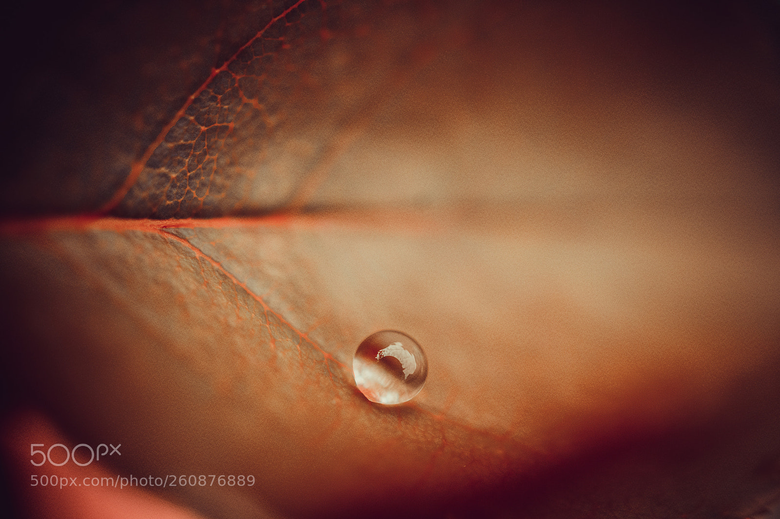 Nikon D7200 sample photo. La goutte sur une photography