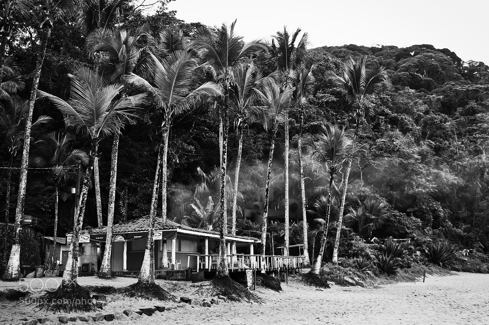Canon EOS 70D sample photo. Praia da sununga ubatuba photography
