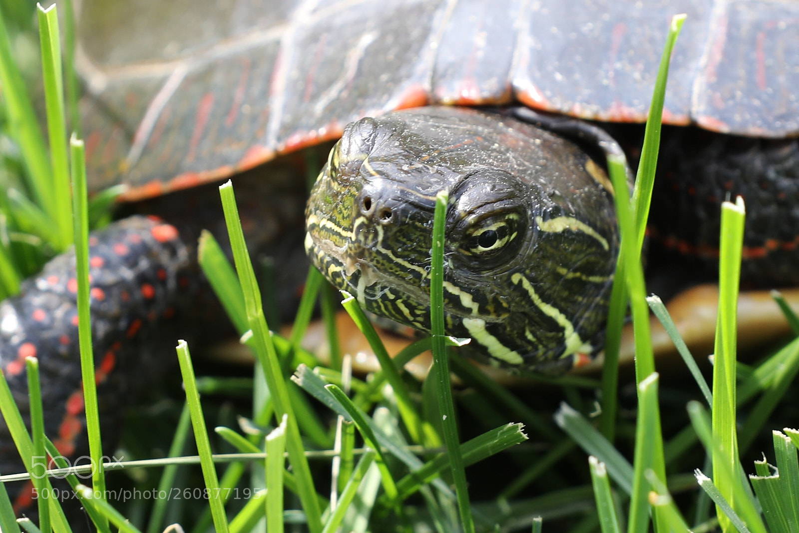 Canon EOS 5D Mark IV sample photo. Which way to the photography