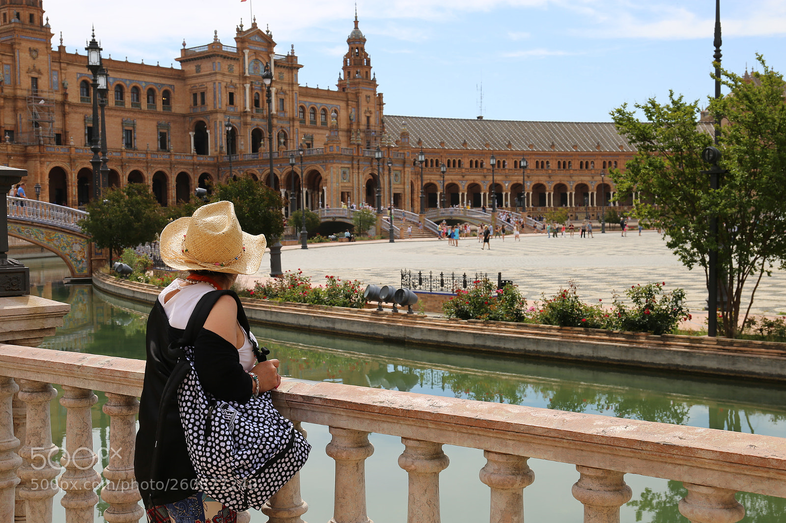 Canon EF 24-70mm F4L IS USM sample photo. Untitled photography
