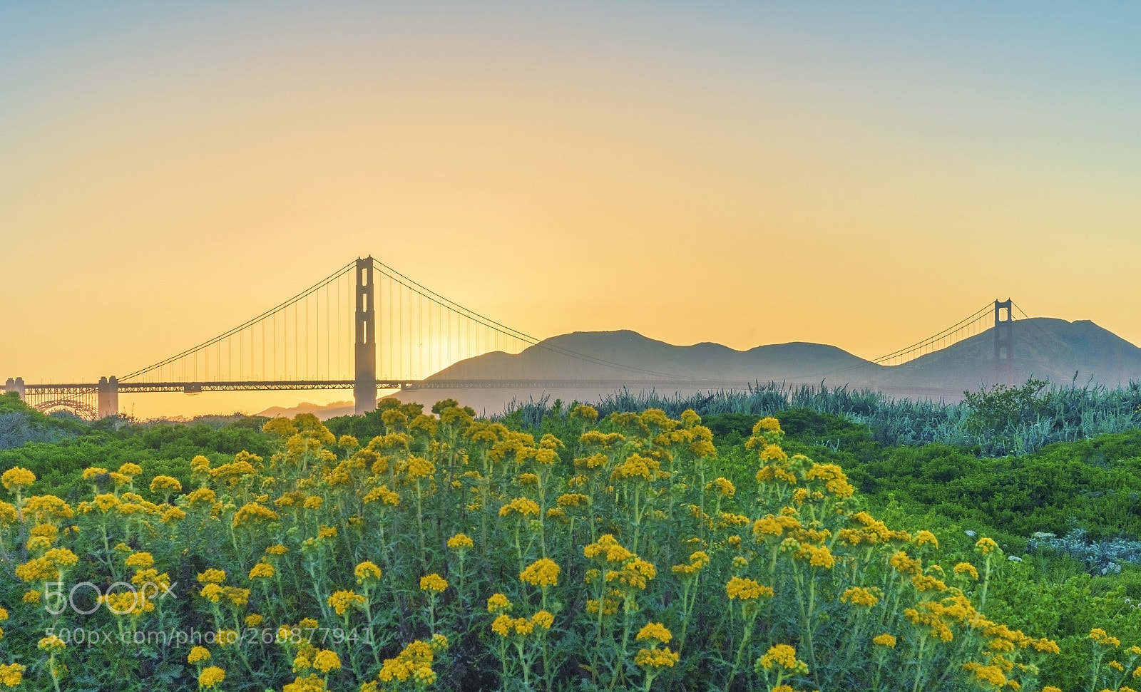 Sony a7 III sample photo. Golden gate bridge photography