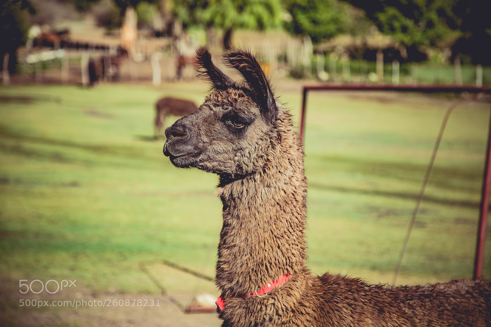 Canon EOS 6D sample photo. Viaje a la monta photography