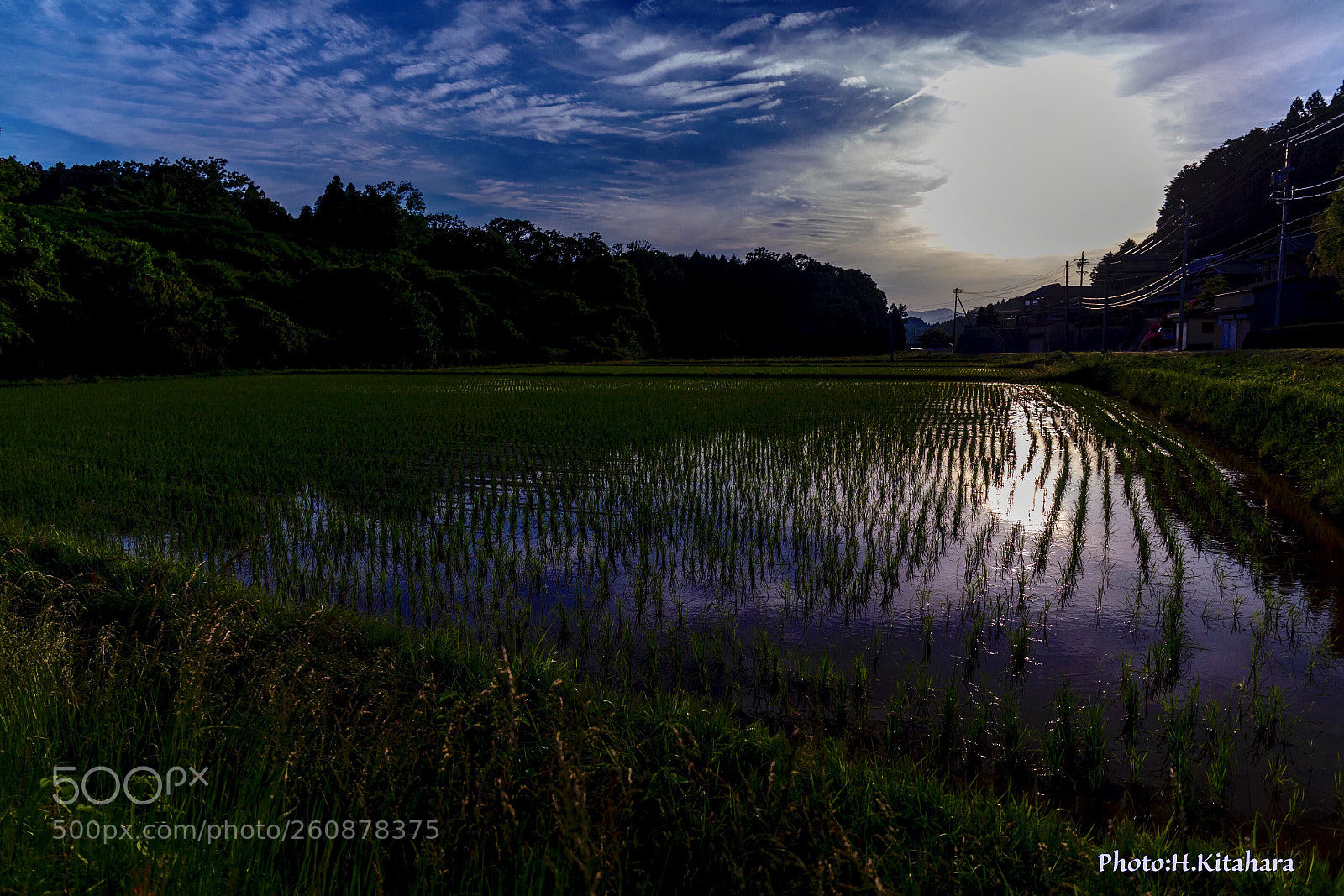Canon EOS 5D Mark IV sample photo. Rural landscape mie  japan photography