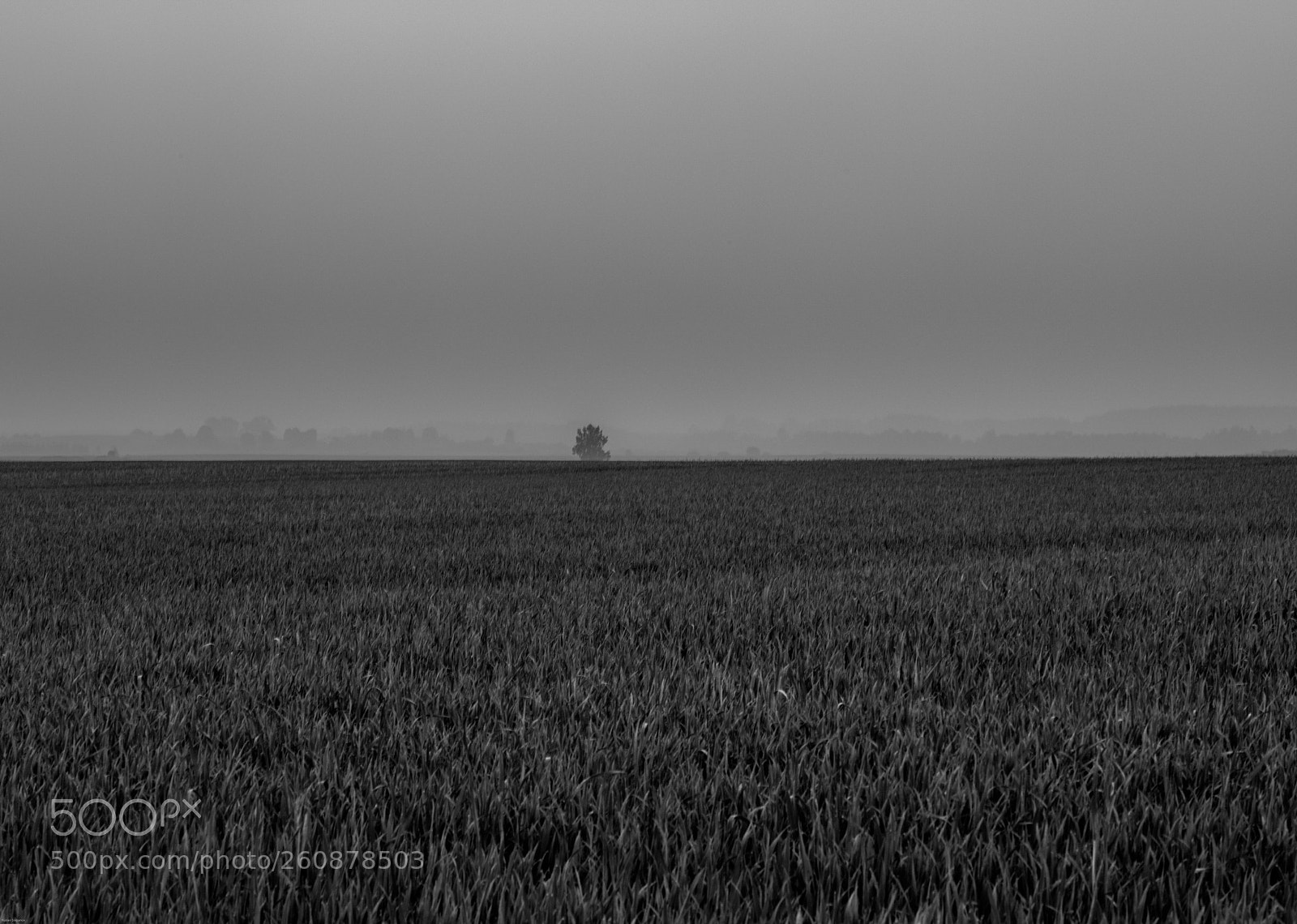Canon EOS 5DS R sample photo. ... photography
