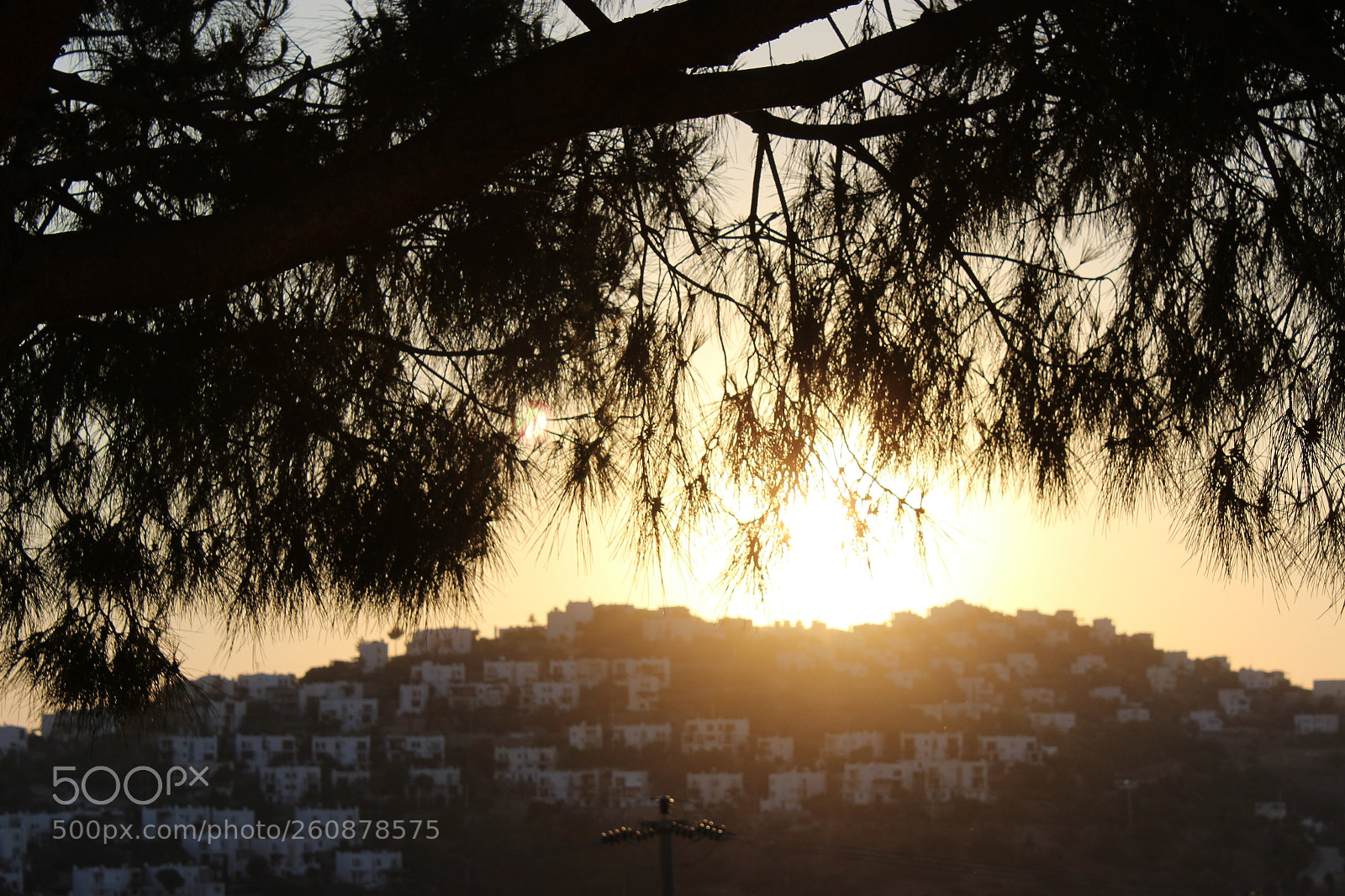 Canon EOS 600D (Rebel EOS T3i / EOS Kiss X5) sample photo. Img photography