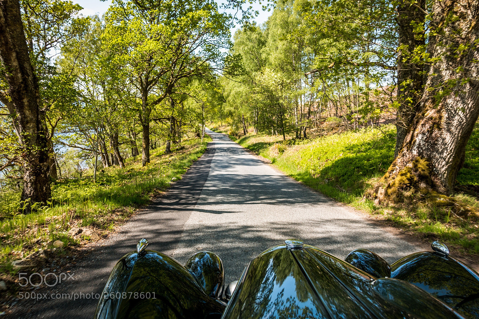 Canon EOS 70D sample photo. Driving a riley special photography