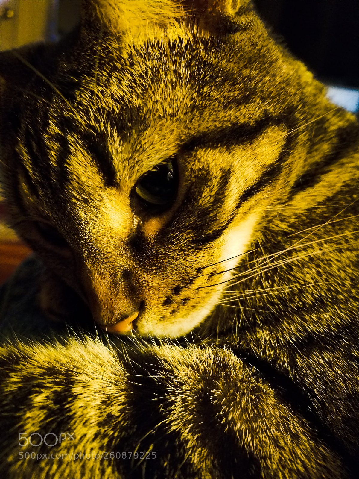 Samsung Galaxy S8 sample photo. Deep in thought photography