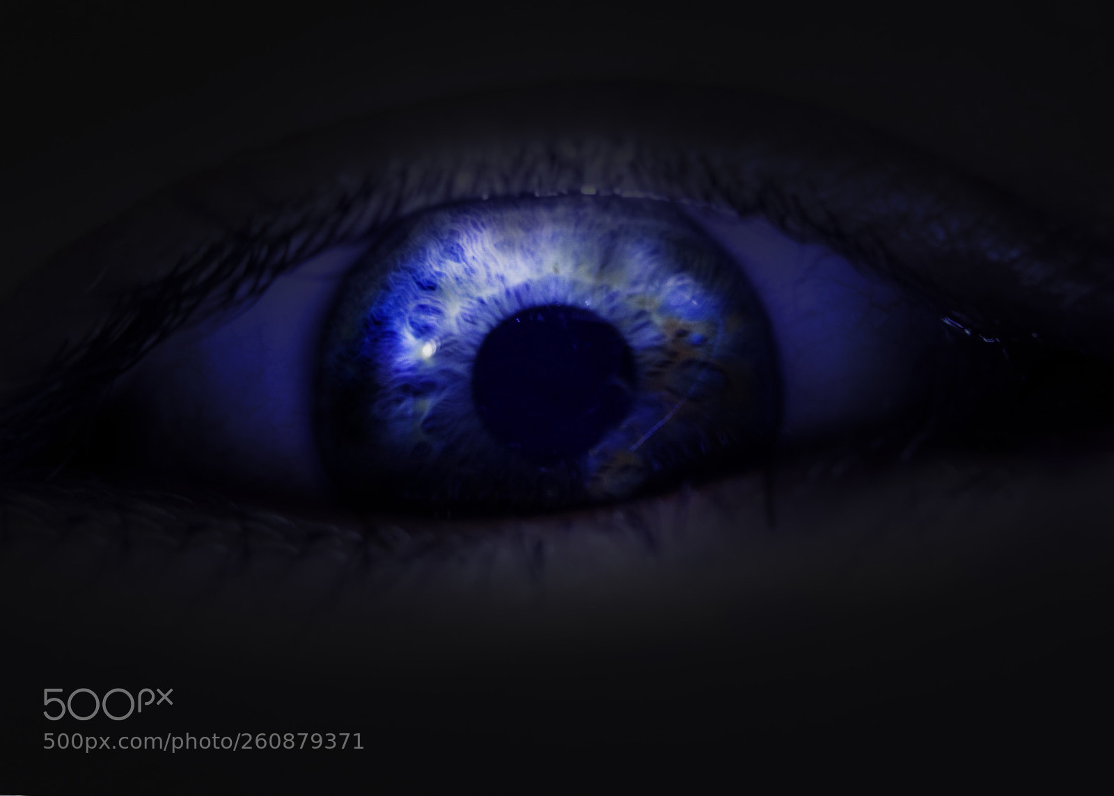 Nikon D7200 sample photo. A world in him! photography