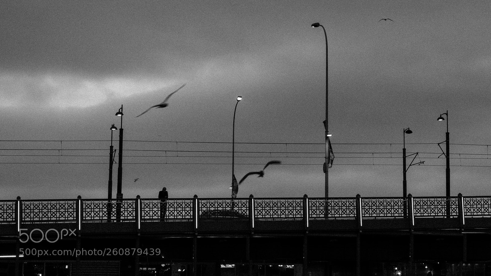Nikon D750 sample photo. Picture of loneliness i photography